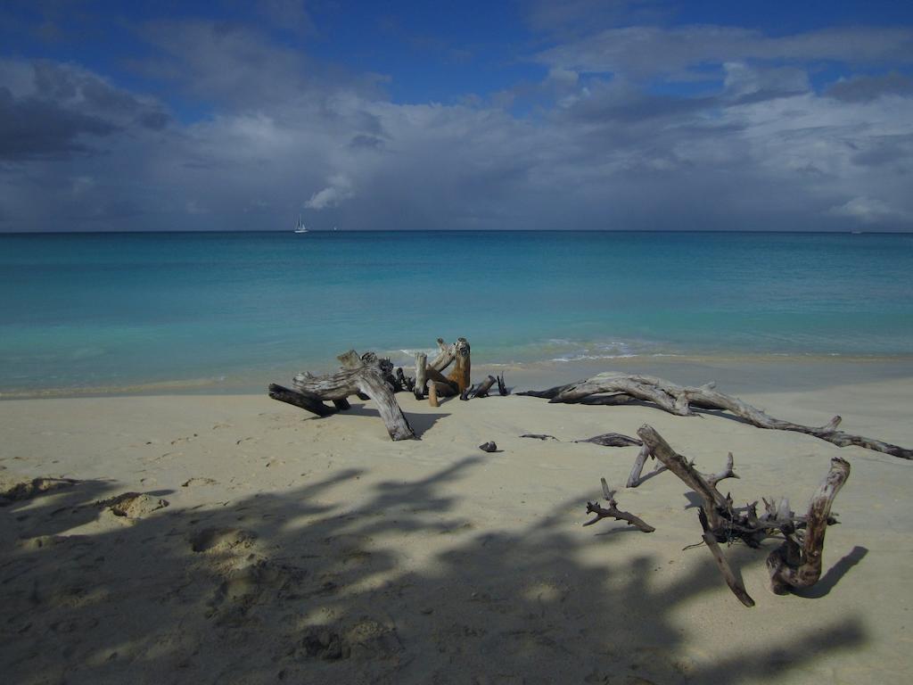 Antigua Chiama Italia Villas Jolly Harbour Ruang foto